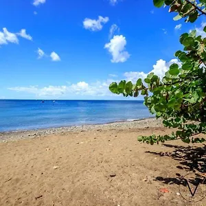 case-crole-pointe-noire.comcaribbean.com/